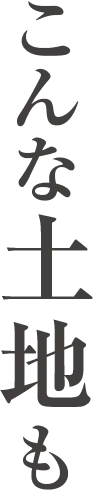 こんな土地も