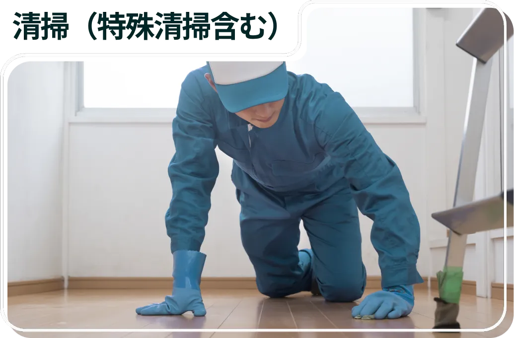 清掃（特殊清掃含む）
